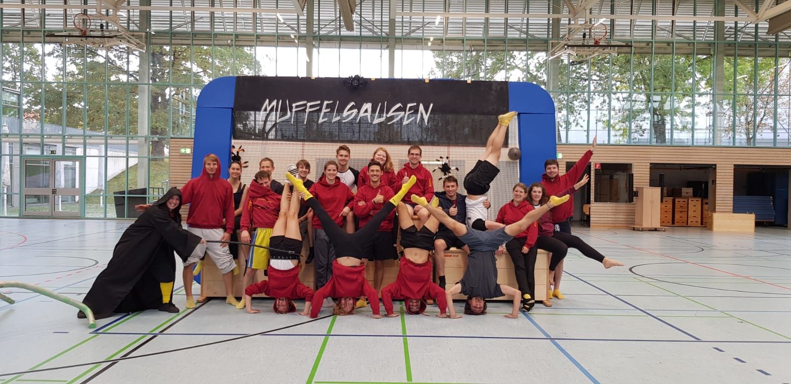 Static image for Muffelsausen 2019